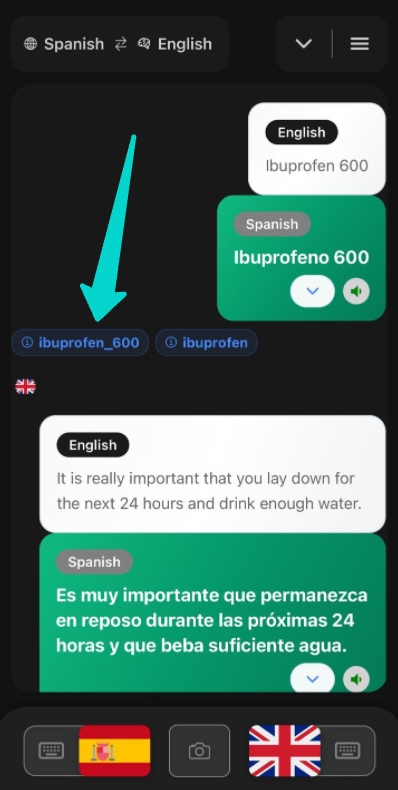 Glossary entry with translate button highlighted